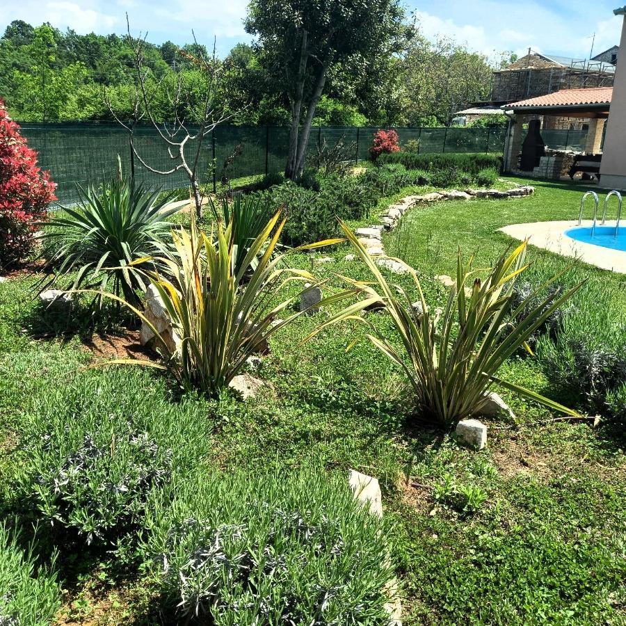 Villa Malini Grožnjan Buitenkant foto