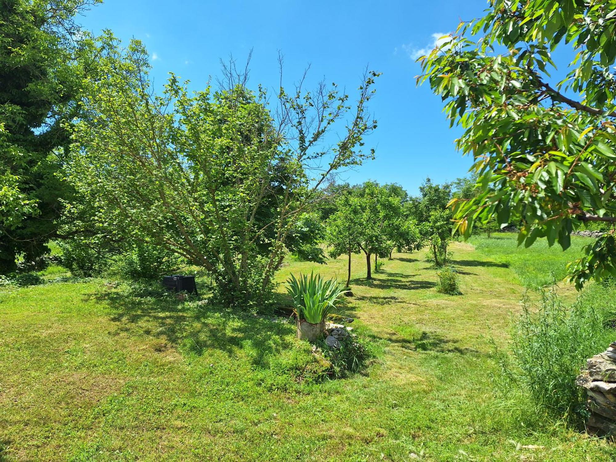 Villa Malini Grožnjan Buitenkant foto