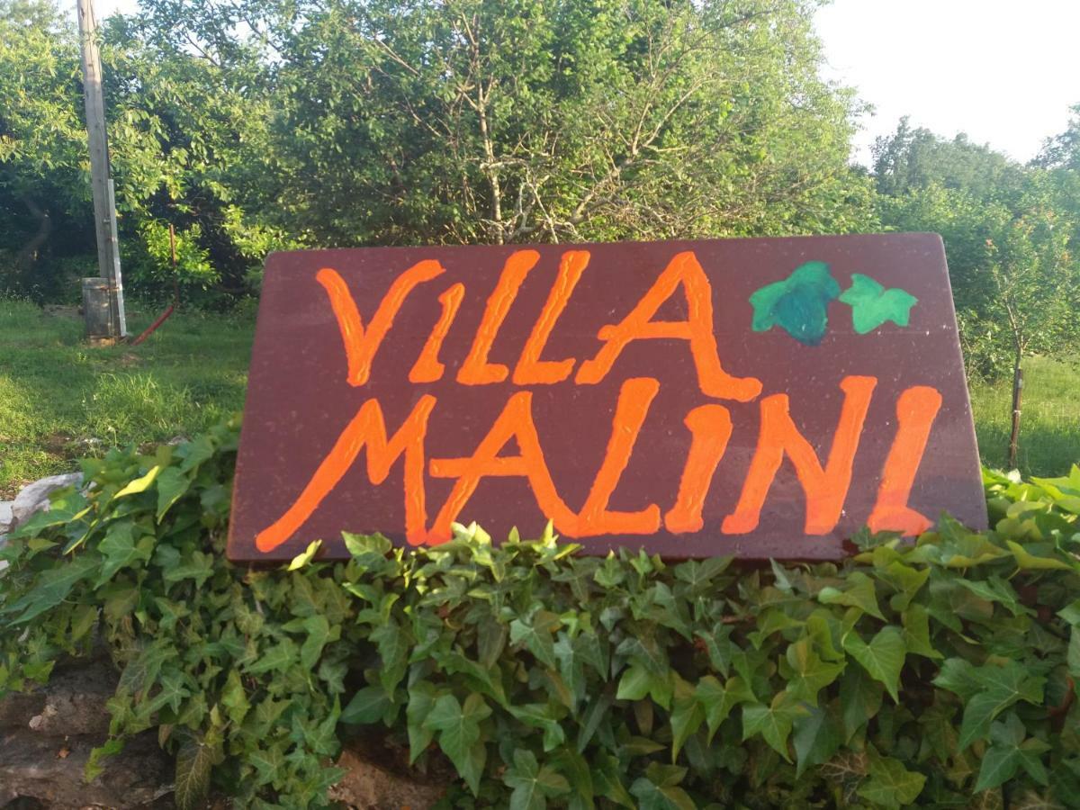 Villa Malini Grožnjan Buitenkant foto